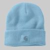 Accessoires & Taschen Carhartt Carhartt Watch Hat Beanie | Classic Workwear Style powder blue